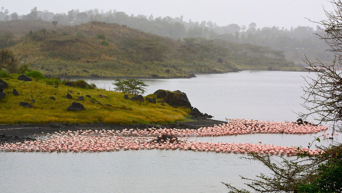 safari package image